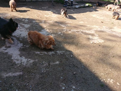 f:id:roukenhome-ann:20190404160107j:plain