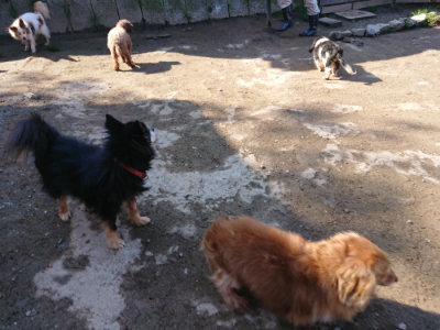 f:id:roukenhome-ann:20190404160112j:plain