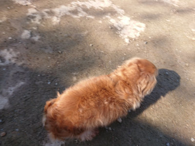 f:id:roukenhome-ann:20190404160118j:plain