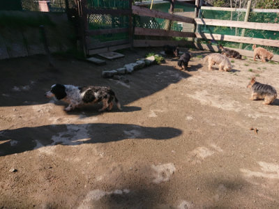 f:id:roukenhome-ann:20190404160123j:plain
