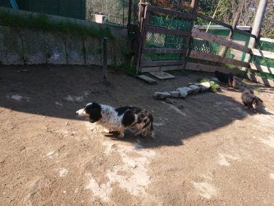 f:id:roukenhome-ann:20190404160129j:plain