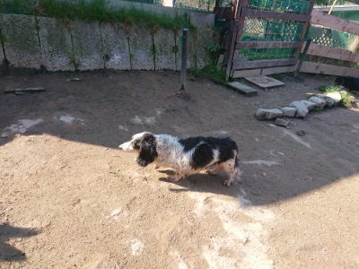 f:id:roukenhome-ann:20190404160134j:plain