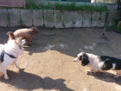 f:id:roukenhome-ann:20190404160139j:plain