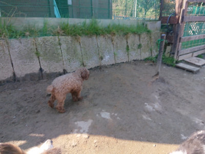 f:id:roukenhome-ann:20190404160148j:plain