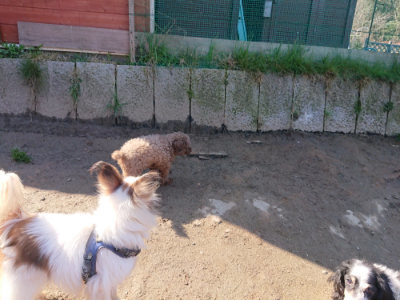 f:id:roukenhome-ann:20190404160159j:plain