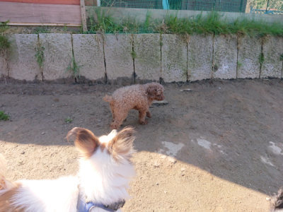 f:id:roukenhome-ann:20190404160205j:plain