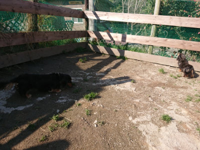 f:id:roukenhome-ann:20190404160210j:plain