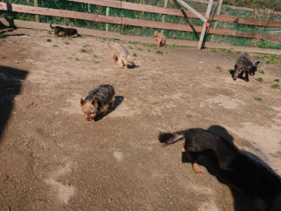 f:id:roukenhome-ann:20190404160221j:plain