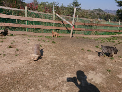 f:id:roukenhome-ann:20190404160227j:plain