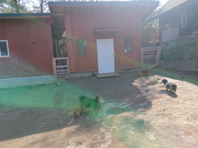f:id:roukenhome-ann:20190404160302j:plain