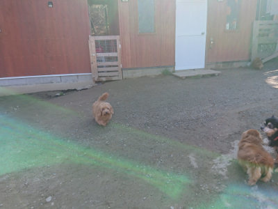 f:id:roukenhome-ann:20190404160310j:plain