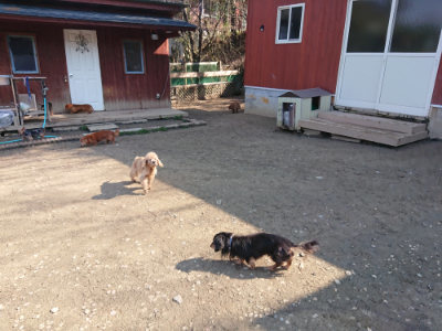 f:id:roukenhome-ann:20190404160439j:plain