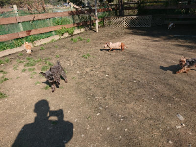 f:id:roukenhome-ann:20190404160445j:plain
