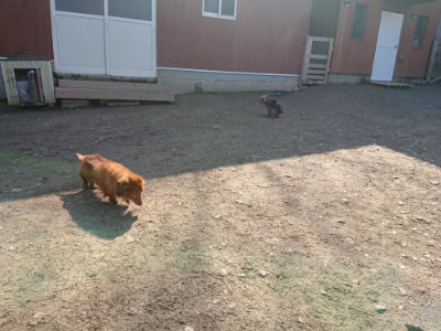 f:id:roukenhome-ann:20190404201031j:plain