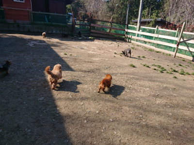 f:id:roukenhome-ann:20190404201051j:plain