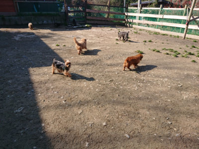 f:id:roukenhome-ann:20190404201057j:plain