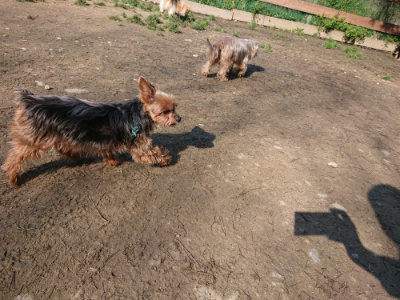 f:id:roukenhome-ann:20190404201106j:plain