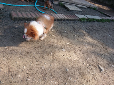 f:id:roukenhome-ann:20190404201147j:plain