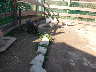 f:id:roukenhome-ann:20190404201219j:plain