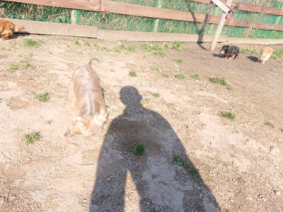 f:id:roukenhome-ann:20190404201311j:plain