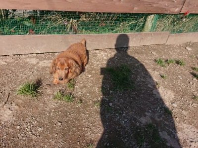 f:id:roukenhome-ann:20190404201356j:plain