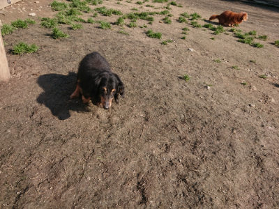 f:id:roukenhome-ann:20190404201420j:plain