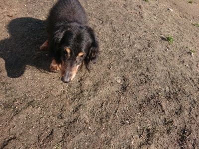 f:id:roukenhome-ann:20190404201426j:plain