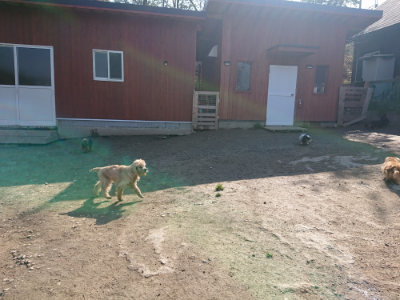 f:id:roukenhome-ann:20190404201441j:plain