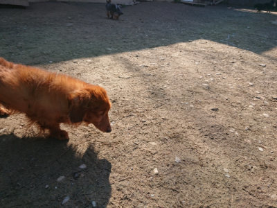 f:id:roukenhome-ann:20190404201631j:plain