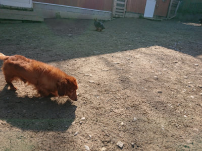 f:id:roukenhome-ann:20190404201651j:plain