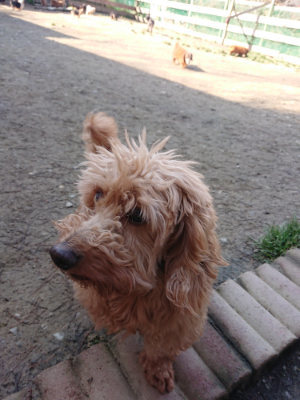 f:id:roukenhome-ann:20190404201658j:plain