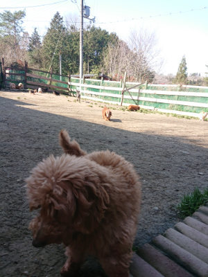 f:id:roukenhome-ann:20190404201720j:plain
