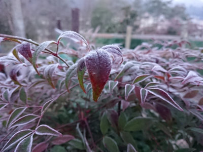 f:id:roukenhome-ann:20190404201741j:plain