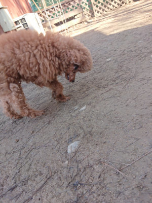 f:id:roukenhome-ann:20190404201754j:plain