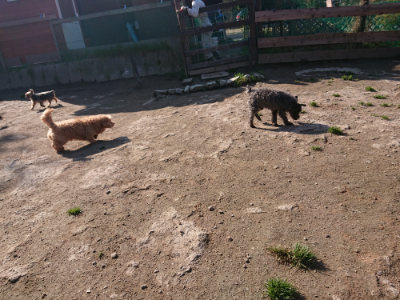 f:id:roukenhome-ann:20190404201824j:plain