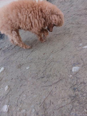 f:id:roukenhome-ann:20190404201830j:plain