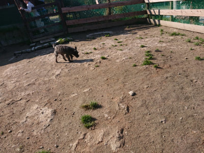 f:id:roukenhome-ann:20190404201907j:plain