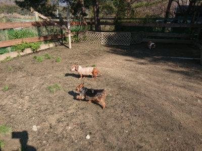 f:id:roukenhome-ann:20190404201914j:plain