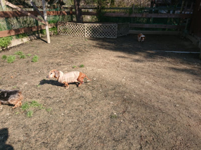 f:id:roukenhome-ann:20190404201922j:plain