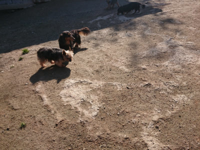 f:id:roukenhome-ann:20190404201938j:plain
