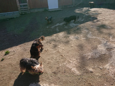 f:id:roukenhome-ann:20190404201945j:plain