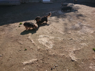 f:id:roukenhome-ann:20190404202019j:plain
