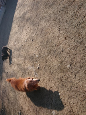 f:id:roukenhome-ann:20190404202036j:plain