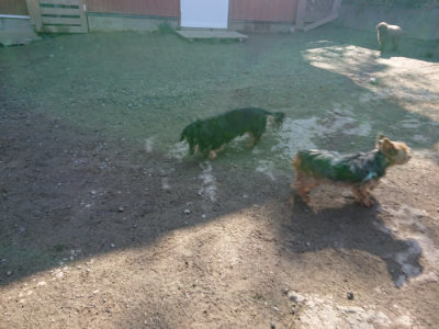 f:id:roukenhome-ann:20190404202050j:plain