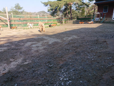 f:id:roukenhome-ann:20190404202458j:plain