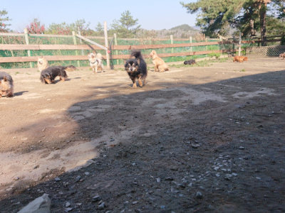 f:id:roukenhome-ann:20190404202506j:plain