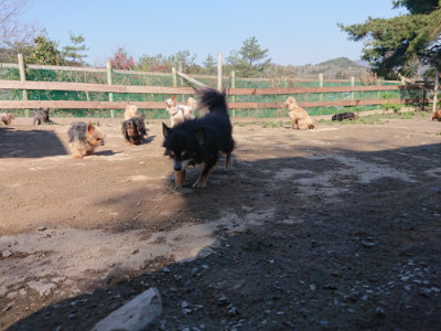 f:id:roukenhome-ann:20190404202512j:plain