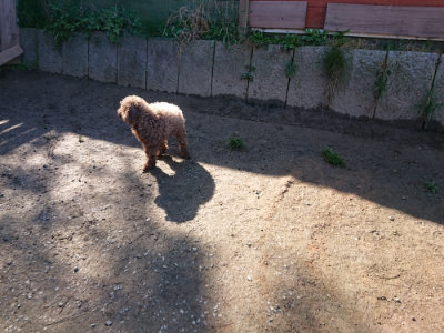 f:id:roukenhome-ann:20190404202542j:plain