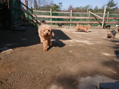 f:id:roukenhome-ann:20190404202548j:plain