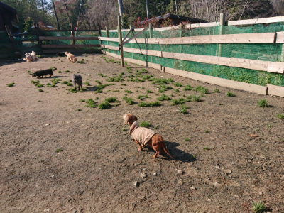 f:id:roukenhome-ann:20190404202556j:plain
